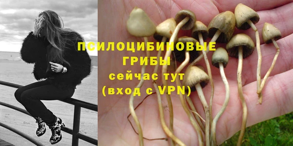 каннабис Снежногорск