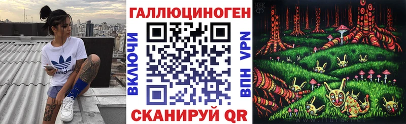 Псилоцибиновые грибы Cubensis  сайты даркнета формула  Курск 