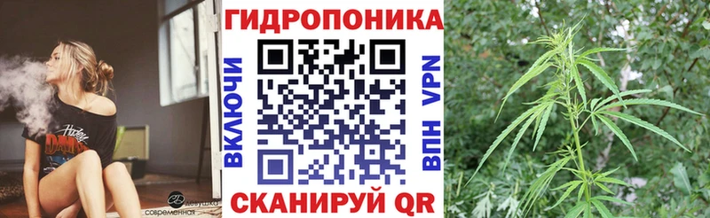 Бошки Шишки семена Курск